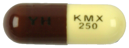 키목신캡슐250mg 제품 사진