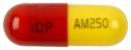 일동아목시실린수화물캡슐250mg 제품 사진