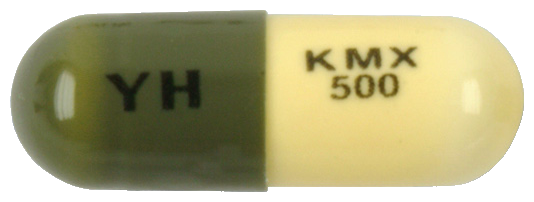 키목신캡슐500mg 제품 사진