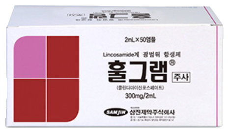 훌그램주사_(0.3g/2mL) 제품 사진