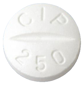 푸로포신정250mg 제품 사진