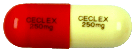 세클렉스캡슐250mg 제품 사진
