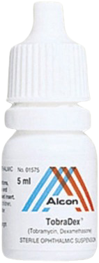 토브라덱스점안액_(5mL) 제품 사진