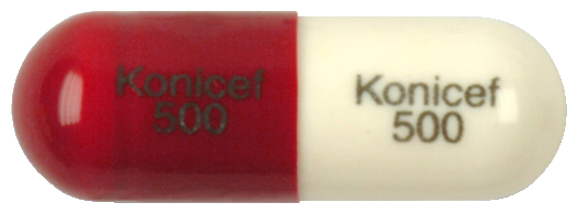 코니세프캡슐500mg 제품 사진