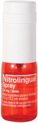 니트로링구알스프레이_(92.72mg/12.2mL) 제품 사진