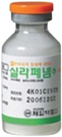 실라페넴250mg 제품 사진