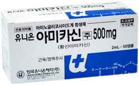 유니온아미카신주500mg_(0.5g/2mL) 제품 사진