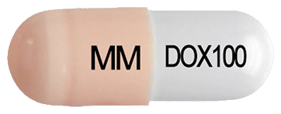 독시플루캡슐100mg 제품 사진