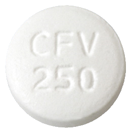 팜스터정250mg 제품 사진