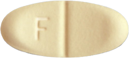 펠로정10mg 제품 사진