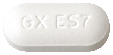 진네트정250mg 제품 사진