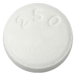 팜클로버정250mg 제품 사진
