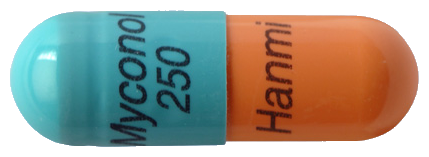 마이코놀캡슐250mg 제품 사진