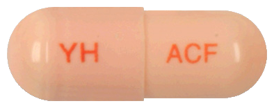 애니세프캡슐100mg 제품 사진