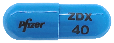 젤독스캡슐40mg 제품 사진