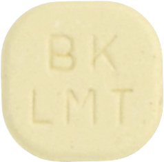 라모티진정100mg 제품 사진