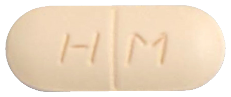 레복사신정500mg 제품 사진