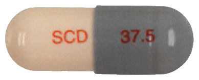 벤라팩트서방캡슐37.5mg 제품 사진