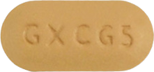 제픽스정100mg 제품 사진