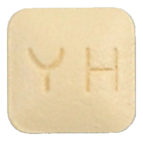 싱카스트정10mg 제품 사진