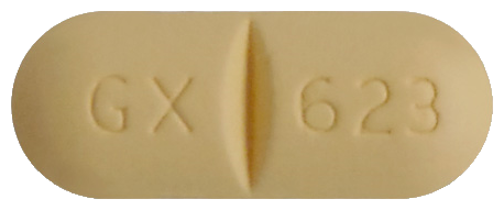 지아겐정300mg 제품 사진