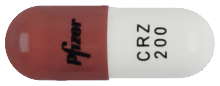 잴코리캡슐200mg 제품 사진