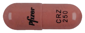 잴코리캡슐250mg 제품 사진