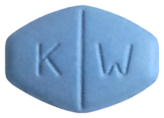 프리야정100mg 제품 사진