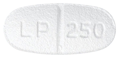 렙필정250mg 제품 사진