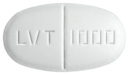 레비로틴정1000mg 제품 사진