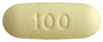 녹사필장용정100mg 제품 사진