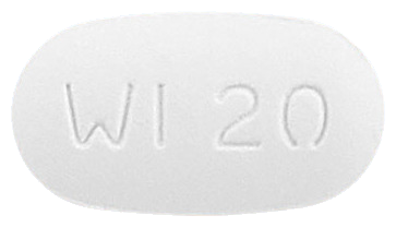 환인파록세틴정20mg 제품 사진