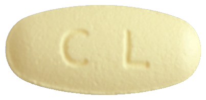 레비탐정500mg 제품 사진