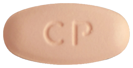 레플록신정500mg 제품 사진