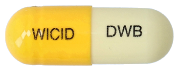 위시드캡슐150mg_(0.15g/1캡슐) 제품 사진