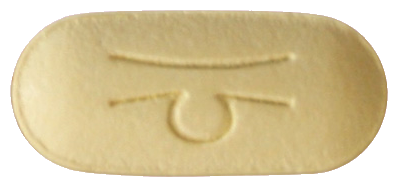 뉴신타서방정100mg 제품 사진