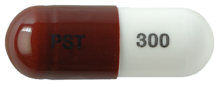 프레가스타캡슐300mg 제품 사진
