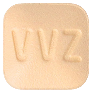 비보존몬테루카스트정10mg 제품 사진