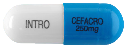 세파크로캡슐250mg 제품 사진