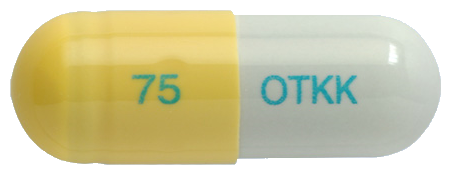 제뉴원오셀타미캡슐75mg 제품 사진