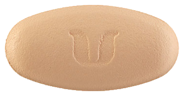 레보에프정500mg 제품 사진