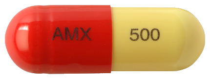 아목시스캡슐500mg 제품 사진