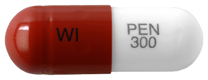 프리렙톨캡슐300mg 제품 사진