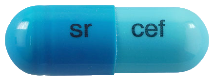 세파크라캡슐250mg 제품 사진