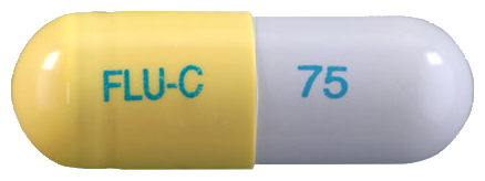 플루클캡슐75mg 제품 사진