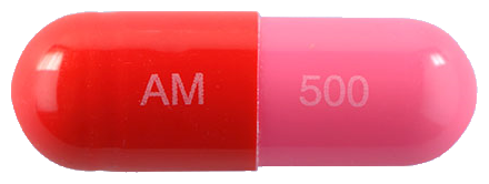 에이목스캡슐500mg 제품 사진