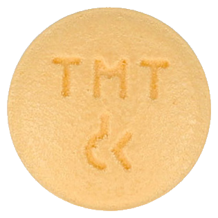 피트메이트정100mg 제품 사진