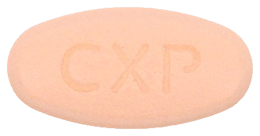 레보투정500mg 제품 사진