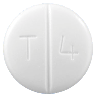 텔미텐션정40mg 제품 사진