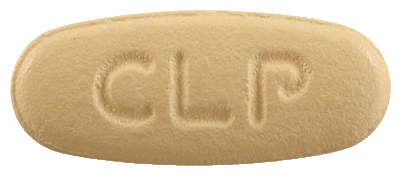 셀트포지정10/160mg 제품 사진